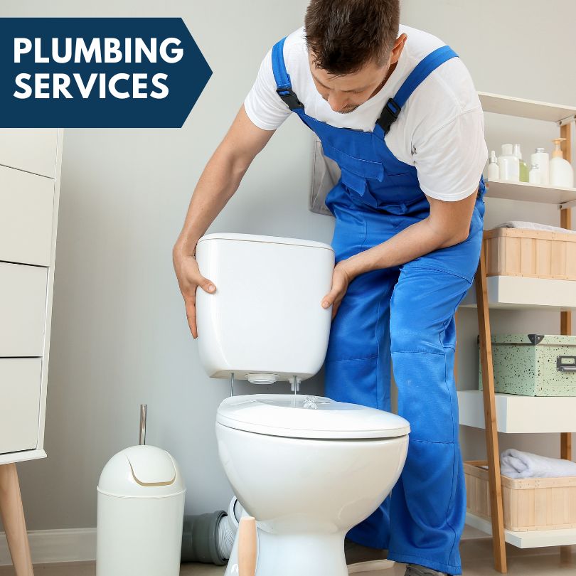 Plumbing Company in Alcove, NY